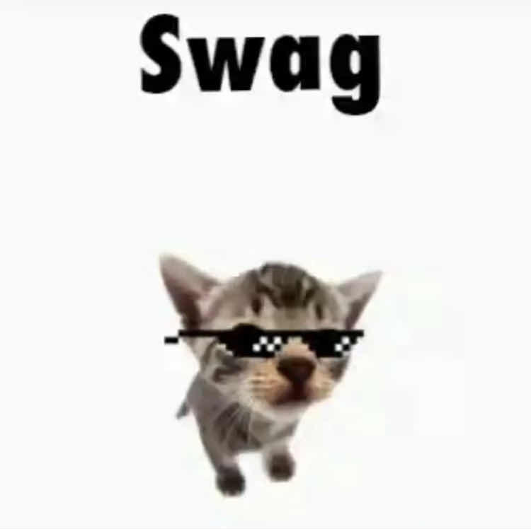 A low-resolution meme image with a white background. At the top, the word 'Swag' is written in large, bold, black text. Below the text is a small, grey and brown tabby kitten. The kitten is wearing black pixelated 'deal with it' style sunglasses.